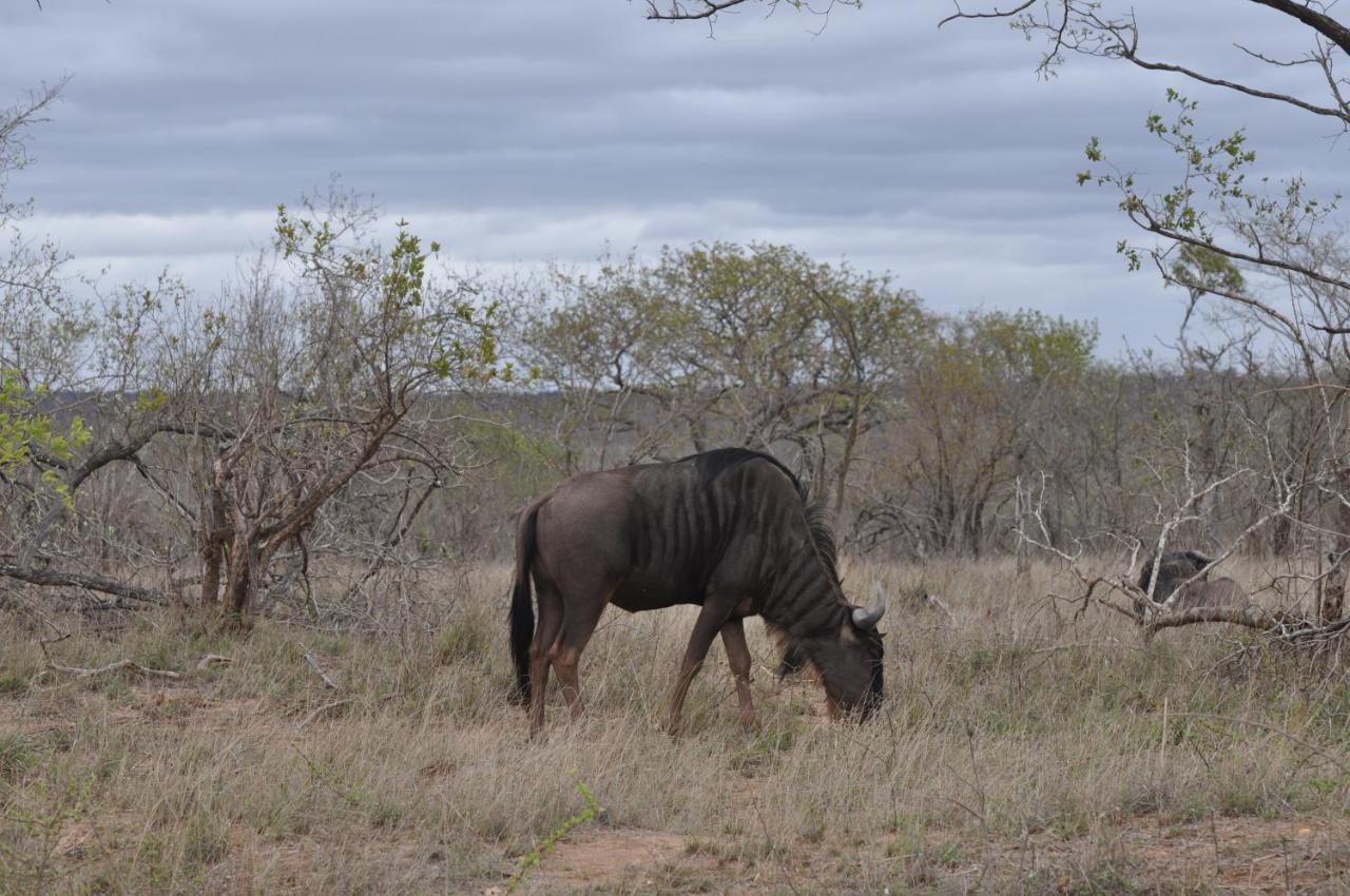 Hazyview Buffalo Game Lodge Экстерьер фото